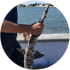 Reelonfishin 510
