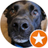 $review_author_name