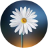 $review_author_name