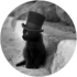 $review_author_name