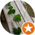 $review_author_name