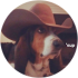 $review_author_name