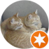 $review_author_name
