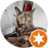 $review_author_name
