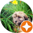 $review_author_name