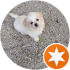 $review_author_name