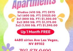 Section 8 For Rent in Nevada