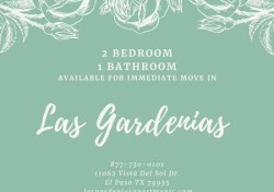 Section 8 For Rent in Texas