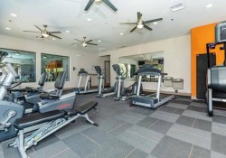 Section 8 For Rent in Nevada