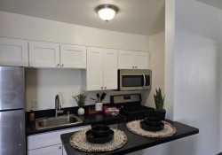 Section 8 For Rent in Nevada