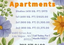 Section 8 For Rent in Nevada