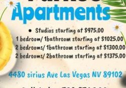 Section 8 For Rent in Nevada