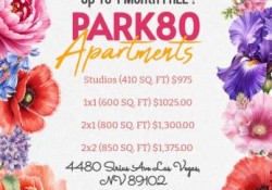 Section 8 For Rent in Nevada