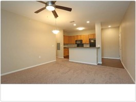 section 8 rental