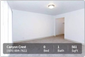 section 8 rental