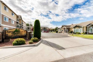 section 8 rental