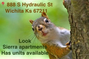section 8 rental
