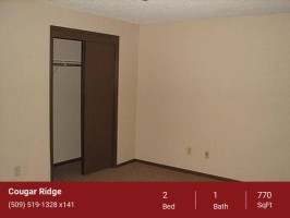 section 8 rental