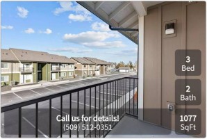 section 8 rental