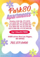 section 8 rental