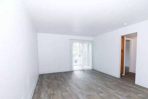 section 8 rental