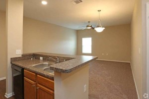 section 8 rental