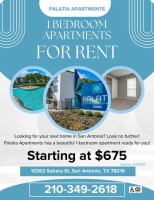 section 8 rental