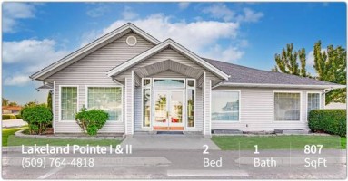 section 8 rental