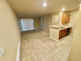 section 8 rental