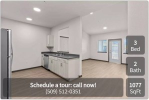 section 8 rental