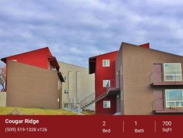 section 8 rental