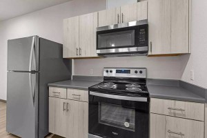 section 8 rental