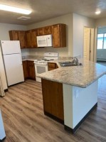 section 8 rental