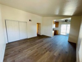 section 8 rental