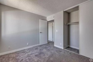 section 8 rental