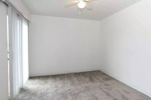 section 8 rental