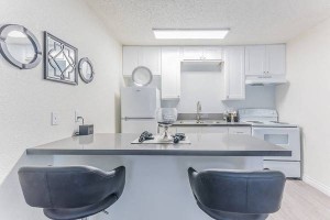 section 8 rental
