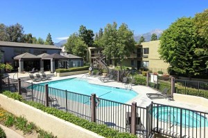 section 8 rental