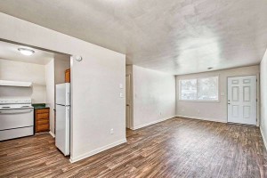 section 8 rental
