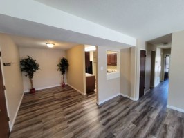 section 8 rental