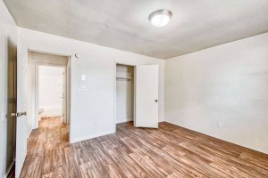 section 8 rental