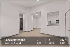 section 8 rental