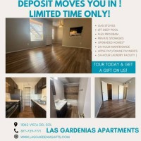 section 8 rental