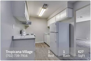 section 8 rental