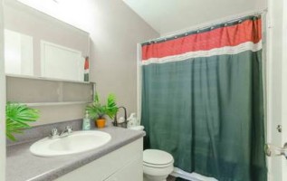 section 8 rental