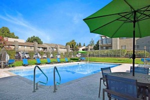 section 8 rental