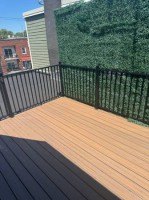 section 8 rental