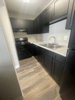 section 8 rental