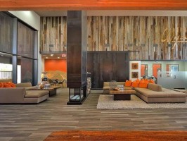 section 8 rental