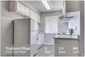 section 8 rental